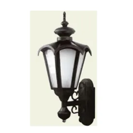 50089-Medium Decorative Outdoor Wall Light